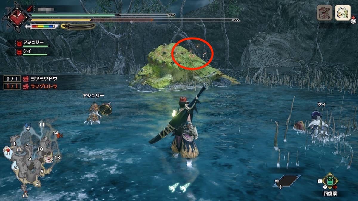 【モンハンライズ】モンスターの背中にいる赤い虫か鳥のような生き物は何？【MHRise】